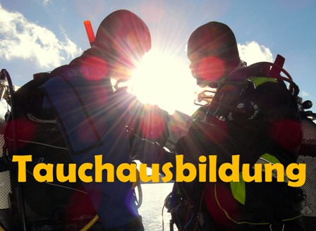 PADI Open Water Diver Kit 